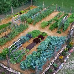 an aerial view of a vegetable garden with various plants and vegetables growing in the ground