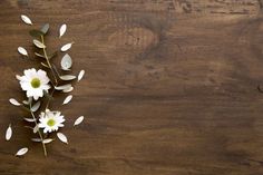 some white flowers and leaves on a wooden surface with space for text or image to be placed