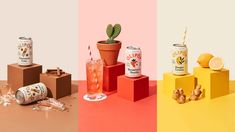 three different shots of various beverages on top of each other, one with a cactus in the middle