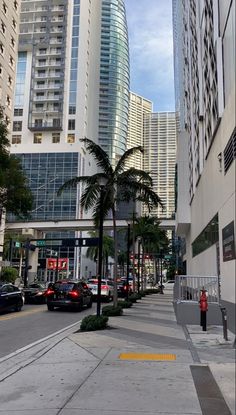 a city street lined with tall buildings and palm trees