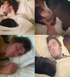 four different pictures of a man sleeping in bed with his dog and cat next to him