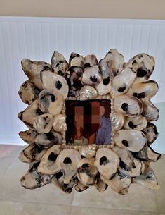 a large group of seashells arranged in a square frame with a woman's face