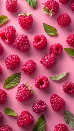 raspberries and leaves on a pink background