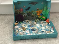 an aquarium with rocks and shells in it