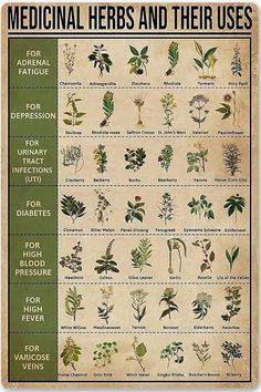 Herbs And Their Uses, Medical Herbs, Survival Skills Life Hacks, Magic Herbs, Natural Healing Remedies, Herbal Healing, Herbal Magic, Herbs For Health