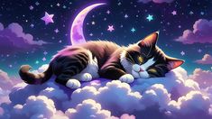 a cat laying on top of a cloud in the sky