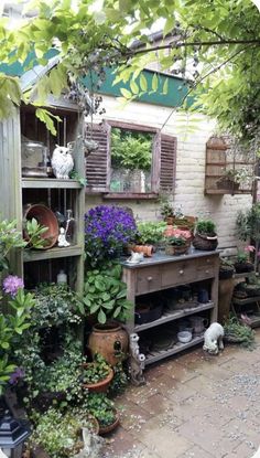 an outdoor garden area with potted plants and pots on the shelf, including flowers