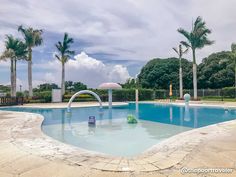 an empty swimming pool surrounded by palm trees