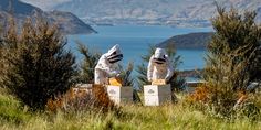 two beekeepers in full protective gear sitting on their hive boxes looking out over the water