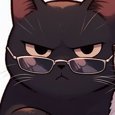 a black cat with glasses on its face