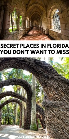 the secret places in florida that you don't want to miss are hidden by trees