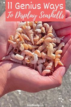 someone holding up some sea shells in their hands with the words 11 genius ways to display seashells