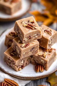 several pieces of chocolate fudge with pecans around them on a small white plate