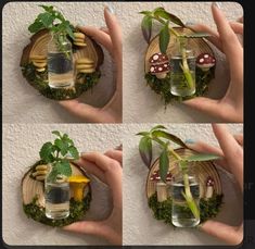 four images show how to make a miniature garden in a jar with plants and rocks