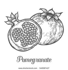 a pomegranate with leaves and seeds on a white background, hand drawn