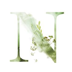 the letter n is made up of leaves and flowers in watercolor on paper with green ink