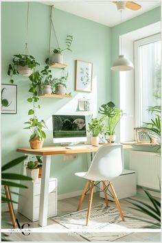 a home office with green walls and plants on the desk, along with a computer