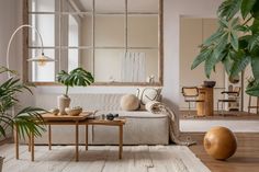 a living room filled with furniture and plants