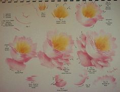 an image of pink flowers with yellow centers on a white sheet of paper that has been drawn