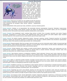 an image of a website page with blue and white text on it, in spanish