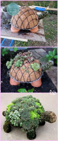 an image of a turtle made out of broccoli and succulents