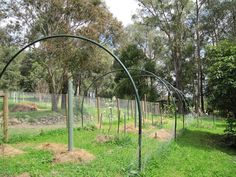 an outdoor area with many plants and trees in the grass, surrounded by fenced off areas