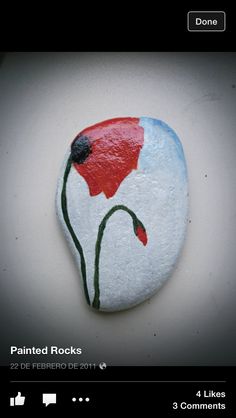 a painted rock with a red flower on it's side and the words painted rocks below