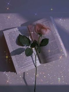 a single pink rose sitting on top of an open book with stars in the background