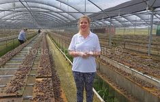 a woman standing in a greenhouse with lots of plants growing on the ground and people working behind her