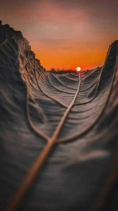 the sun is setting over an ocean wave with lines going through it, and there are no waves in sight