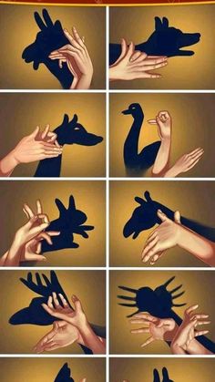 hands that are touching each other with their fingers in different positions and the words, how to make hand shadows