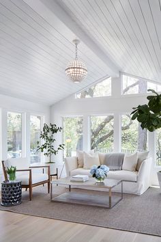 a living room filled with furniture and a potted plant on top of a table