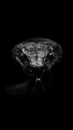 Back Of Hand Tattoos, Serpent Snake, Personal Logo Design, Eagle Wallpaper, Army Wallpaper, Dark Pictures, Iphone Wallpaper Photos, Black Snake, Dark Photography