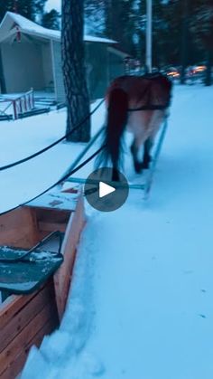 a horse pulling a sleigh in the snow with it's head down