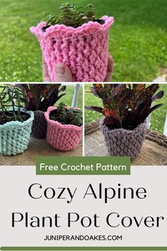 the crochet pattern for cozy alpine plant pot cover is shown in three different colors