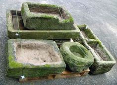 moss covered toilets are sitting on pallets in the middle of a parking lot with no one around them