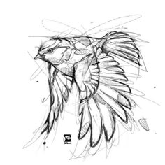 a drawing of a bird with wings spread out