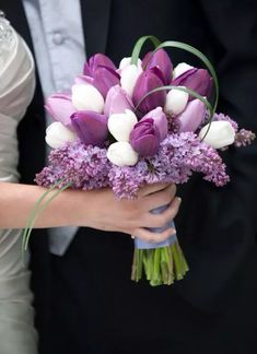 a bouquet of purple and white tulips in someone's hand