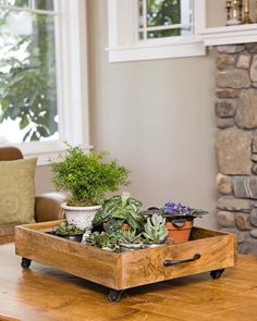 a wooden tray filled with potted plants on top of a table next to a window