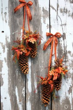 two pine cones decorated with fall foliage and bows hang on the side of an old wooden door