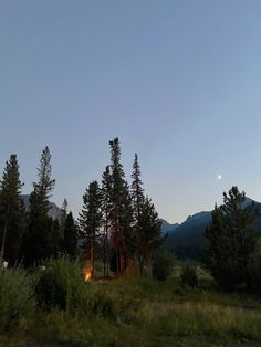 the moon is shining in the sky over some trees and grass with mountains in the background