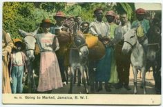 a group of people standing next to each other with donkeys in front of them