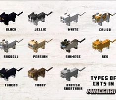 the different types of cats in minecraft