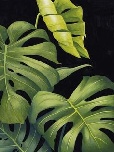 a painting of green leaves on a black background