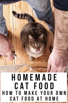 a cat sitting on top of a wooden floor next to a person holding a knife and fork