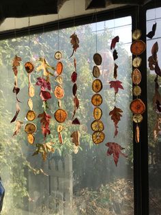 several autumn leaves hanging from the side of a window