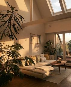 a living room filled with lots of furniture and plants on top of the tables in front of them