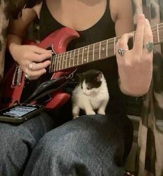 a person playing guitar with a cat sitting on their lap