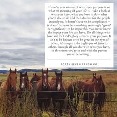 four horses standing next to each other in a field with a quote from the author