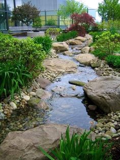 there is a small stream in the middle of this garden with rocks and plants around it